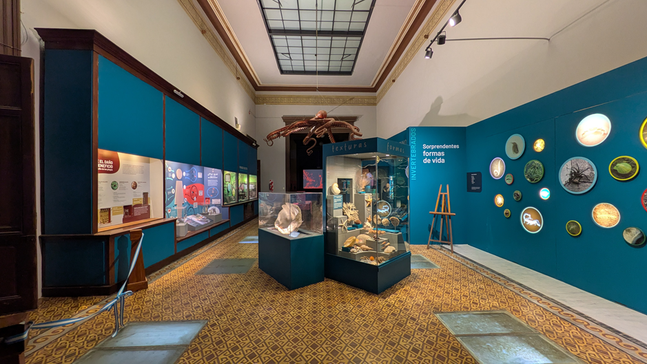 Criaturas sorprendentes en la renovada sala del Museo de La Plata